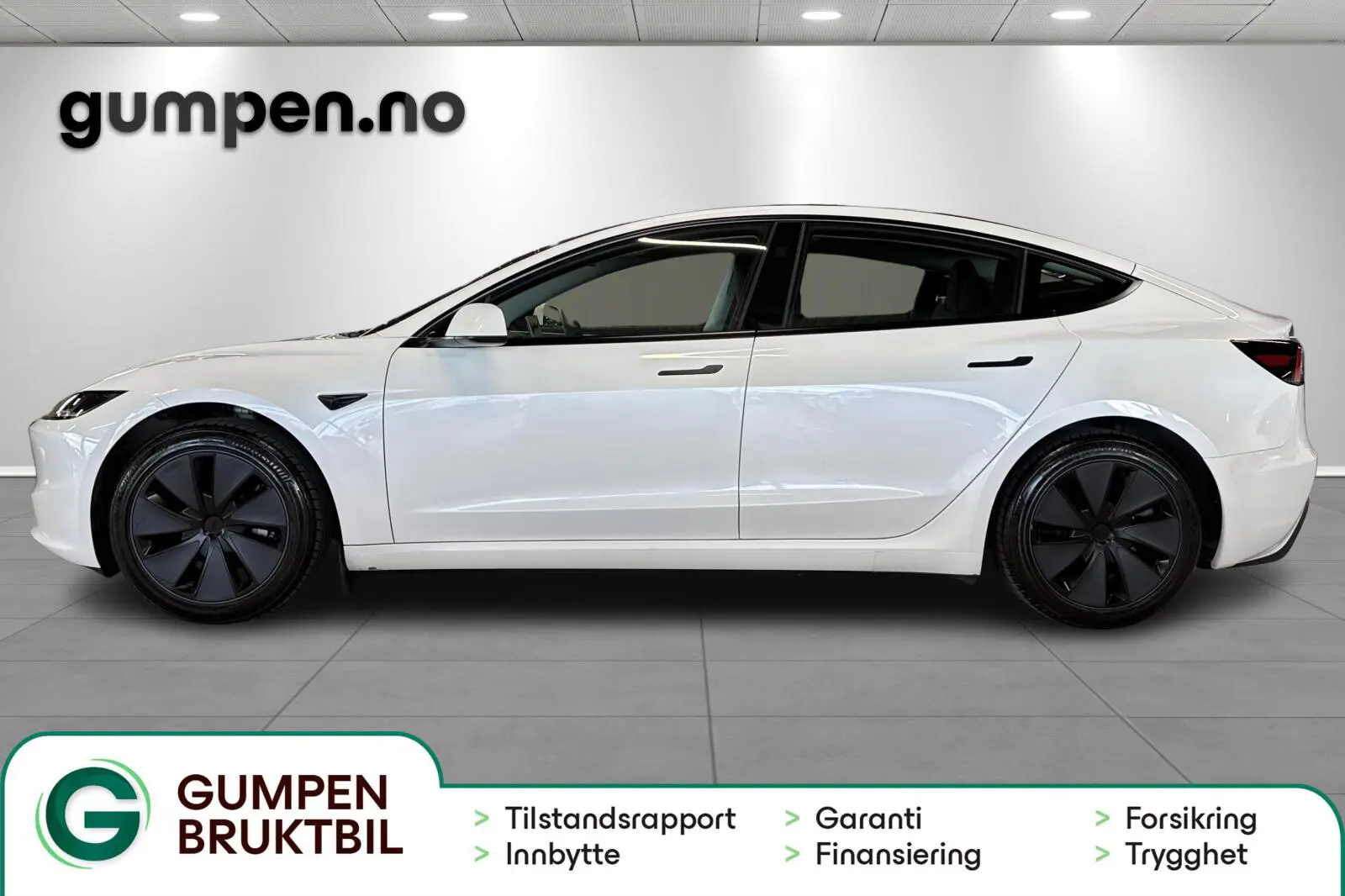 image_Tesla