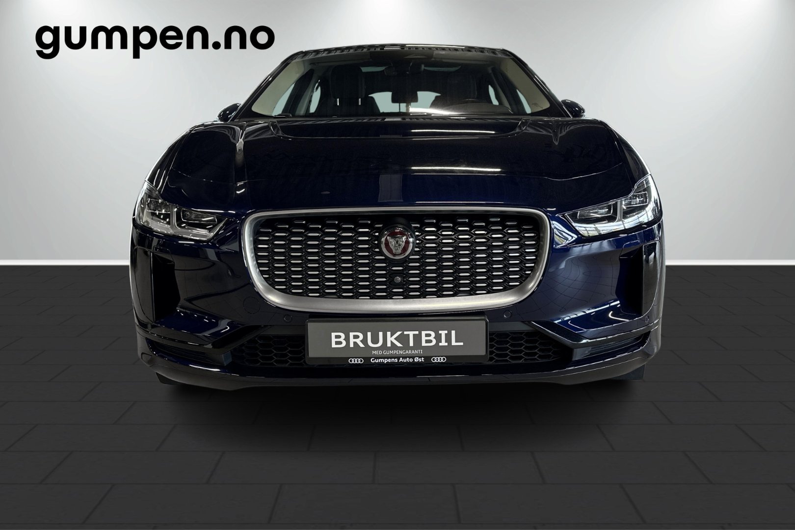 image_Jaguar