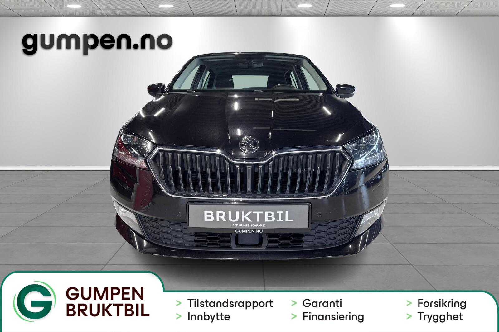 image_Skoda