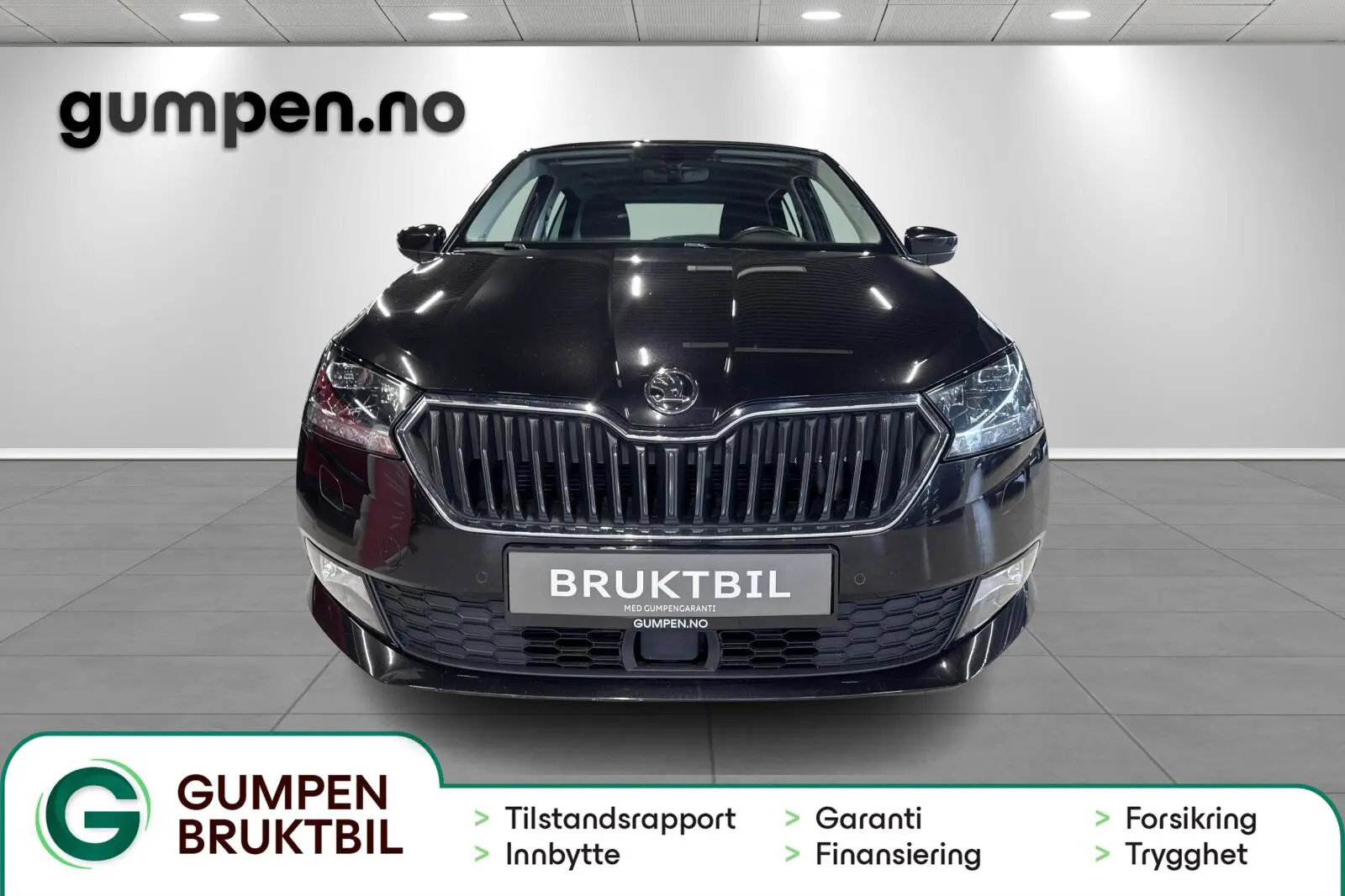 image_Skoda