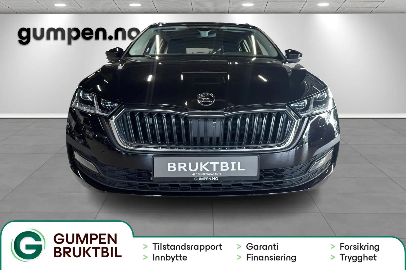 image_Skoda