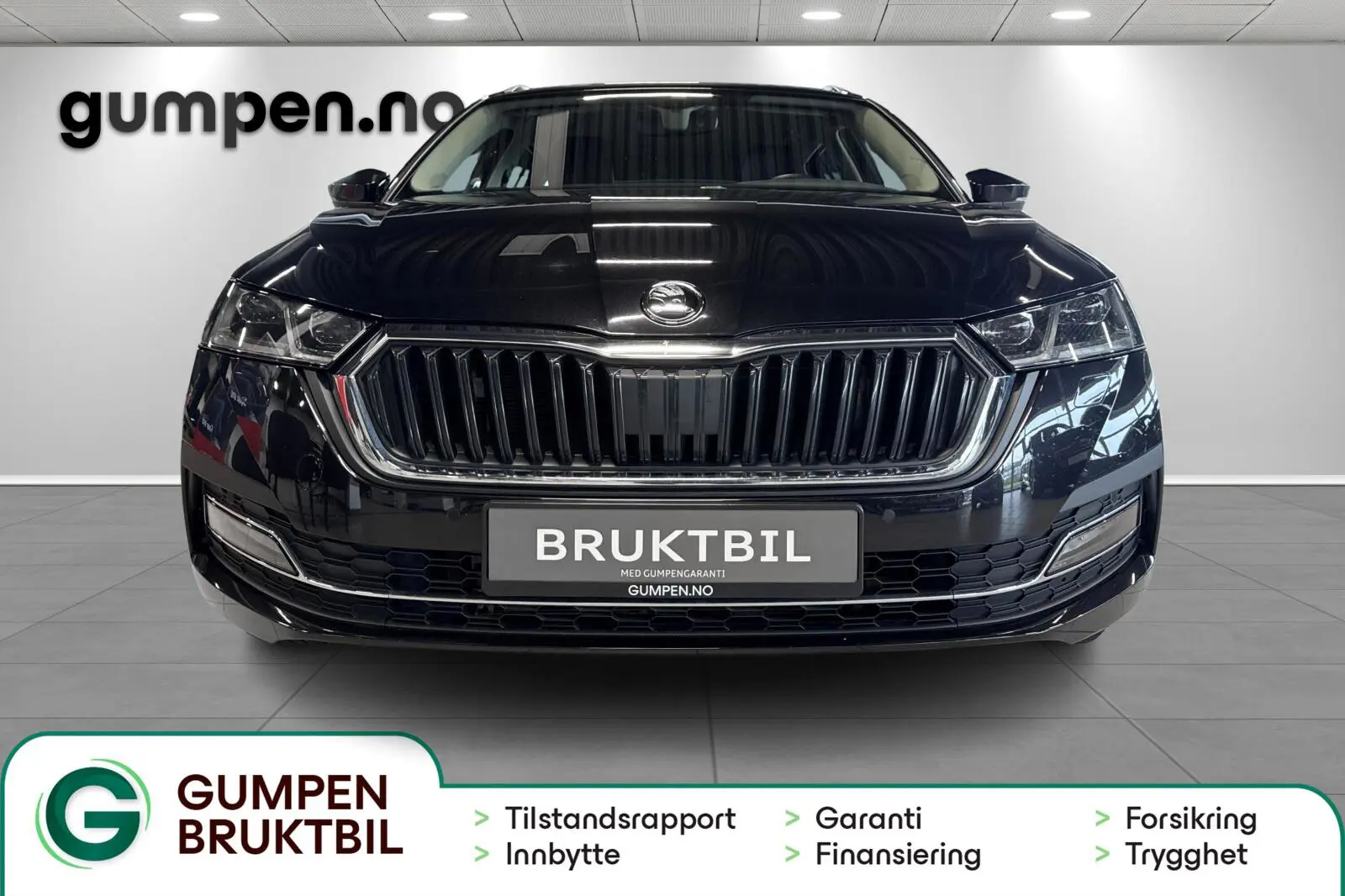 image_Skoda