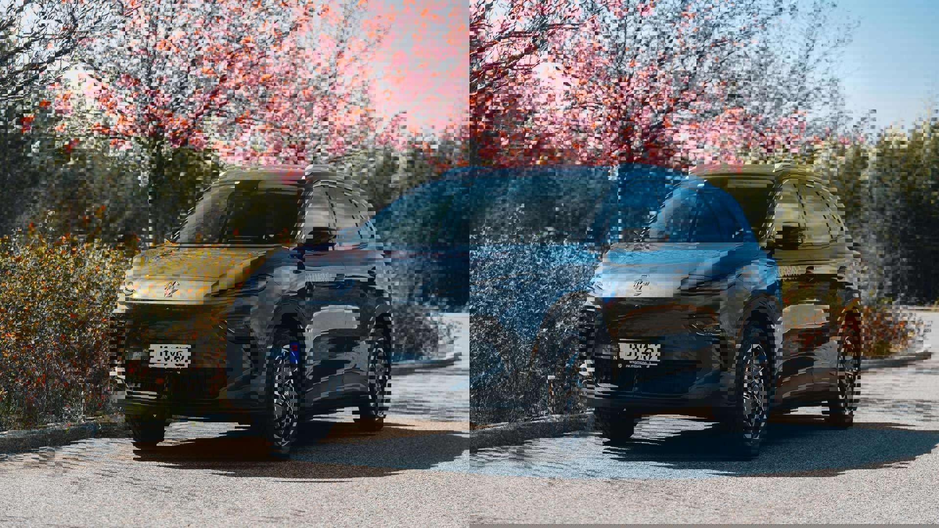 MGS5 EV